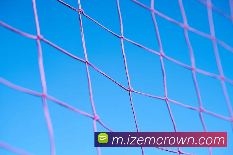 皇冠crown体育平台APP 高清赛事图